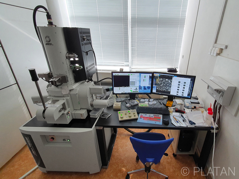 Scanning electron microscope